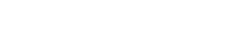 FlexTV